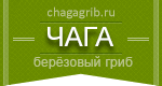 Чага - берёзовый гриб